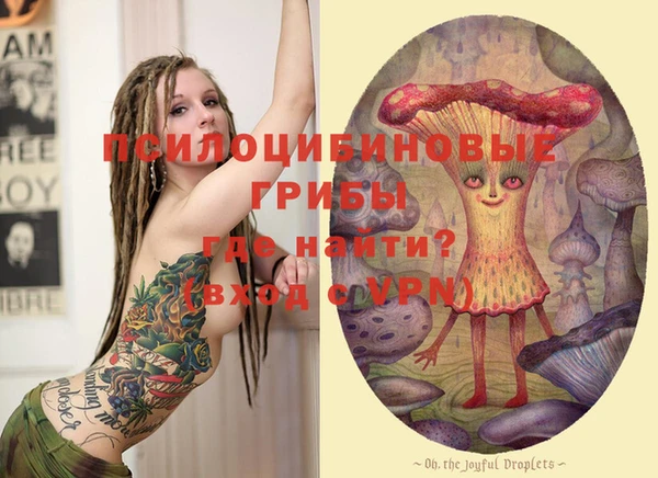 ГАЛЛЮЦИНОГЕННЫЕ ГРИБЫ Балахна