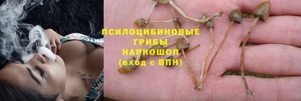 ГАЛЛЮЦИНОГЕННЫЕ ГРИБЫ Балахна