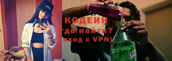 индика Баксан