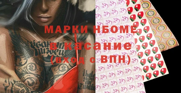 индика Баксан