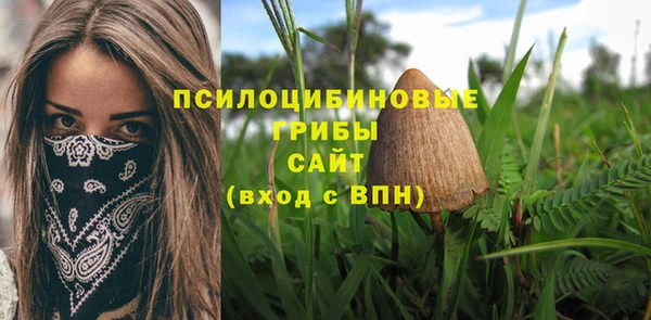индика Баксан