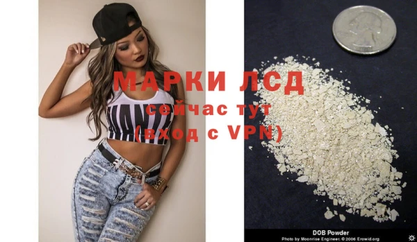 ГАЛЛЮЦИНОГЕННЫЕ ГРИБЫ Балахна