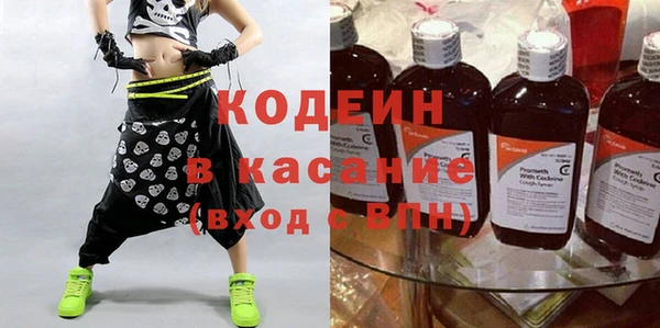 индика Баксан