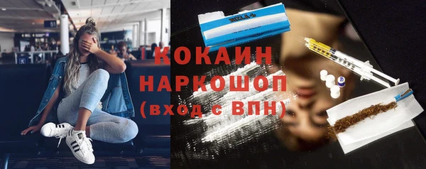 индика Баксан