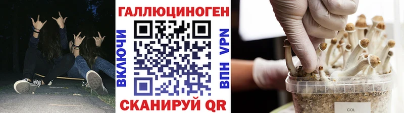 Галлюциногенные грибы GOLDEN TEACHER  купить наркотики цена  Боготол 